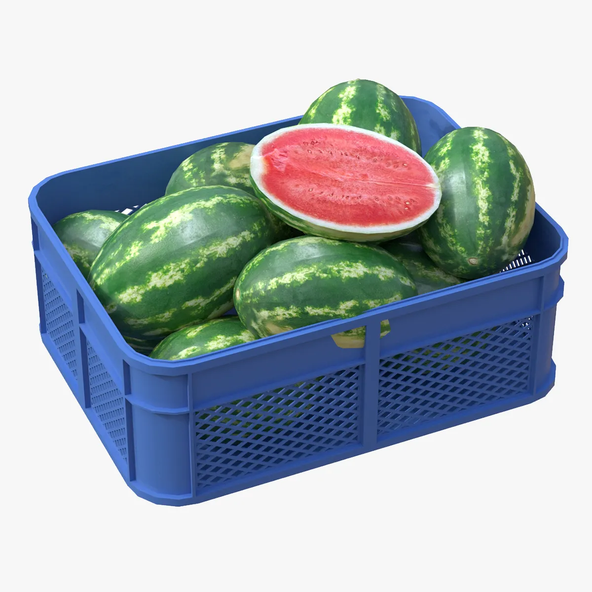 Watermelon Plastic Crate 3D Model .c4d .max .obj .3ds .fbx .stl .blend