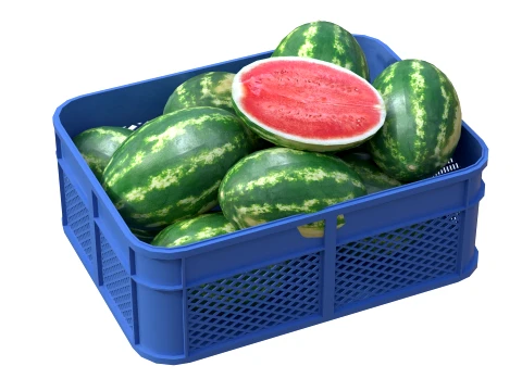Watermelon Plastic Crate 3D Model