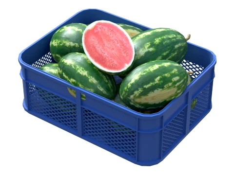 Watermelon Plastic Crate 3D Model