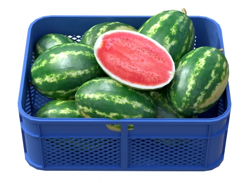 Watermelon Plastic Crate 3D Model
