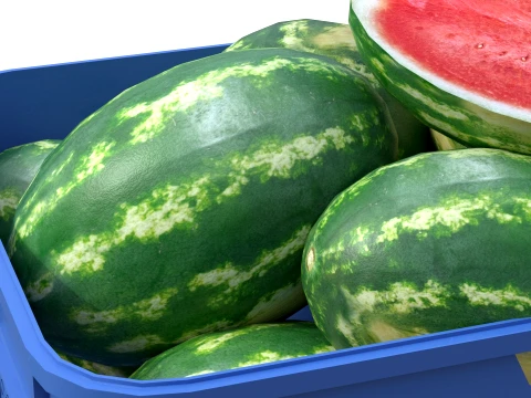 Watermelon Plastic Crate 3D Model