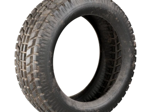 Dirty Tyre 3D Model
