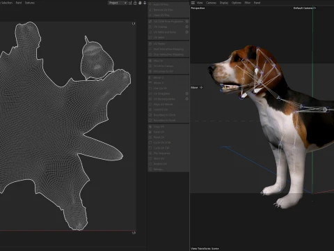 Beagle Dog 3D Model