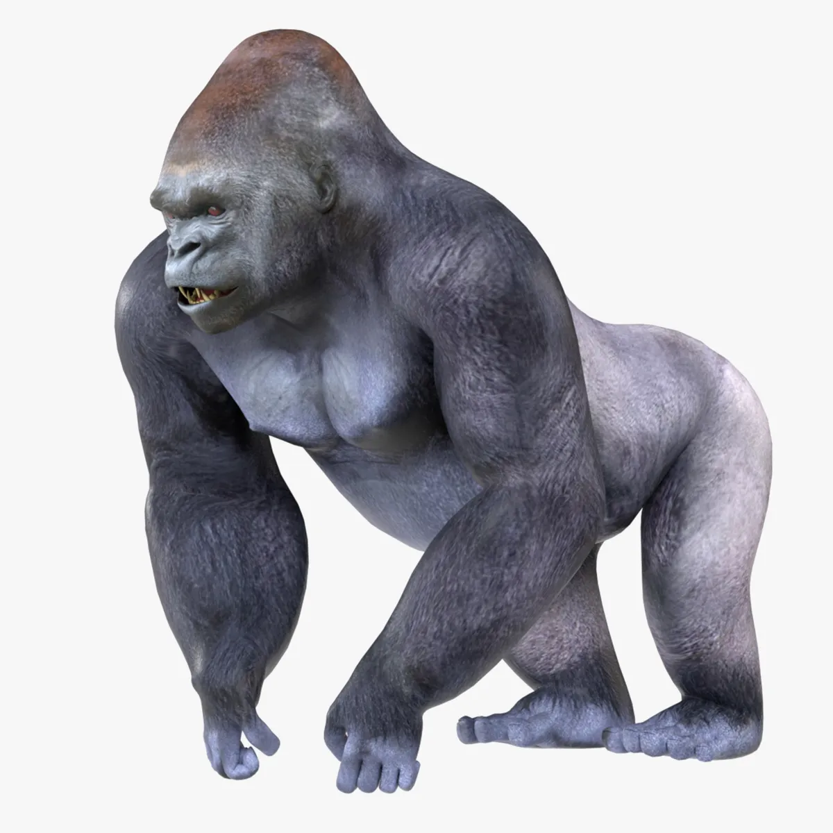 Gorilla 3D Model .c4d .max .obj .3ds .fbx .stl .blend 
