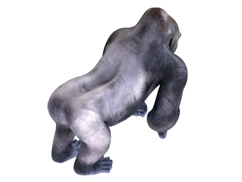 Gorilla 3D Model
