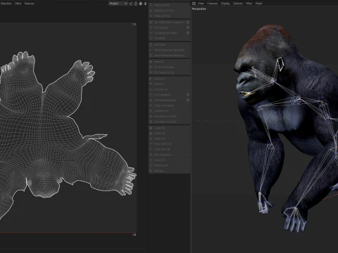 Gorilla 3D Model