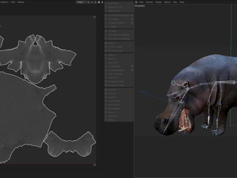 Hippopotamus 3D Model