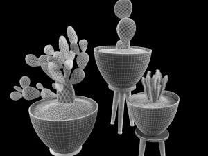 cactus set for decorating 3D Model