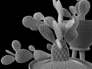 cactus set for decorating 3D Model