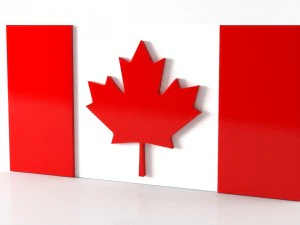 9 flags collection 3D Model