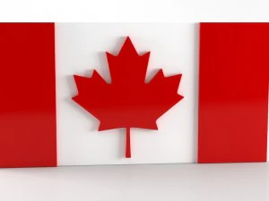 9 flags collection 3D Model