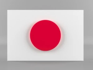 9 flags collection 3D Model