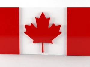 9 flags collection 3D Model