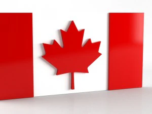 9 flags collection 3D Model