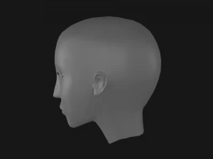 human head 3D Model