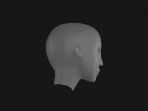 human head 3D Model