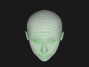 human head Model 3D