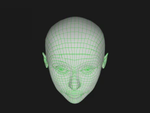human head 3D Model