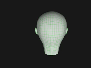 human head 3D Model