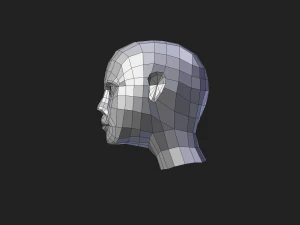 human head 3D Model