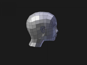 human head 3D Model
