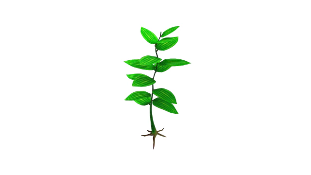 small plant 3D Model .c4d .max .obj .3ds .fbx .stl .blend