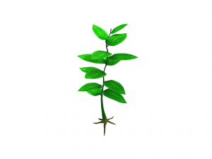 small plant 3D 모델