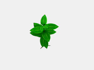 small plant 3D 모델