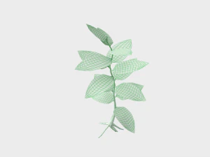 small plant 3D Model