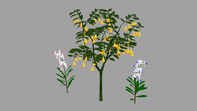 tree flower 3D Model .c4d .max .obj .3ds .fbx .stl .blend 