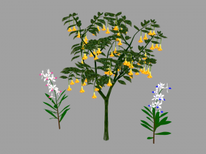 tree flower 3D 모델