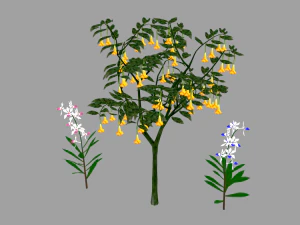 tree flower 3D Model