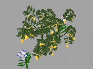 tree flower 3D Model