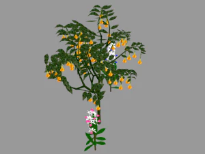 tree flower 3D Model
