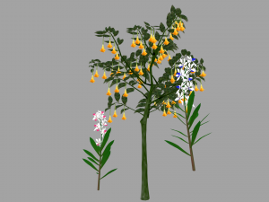 tree flower 3D Model