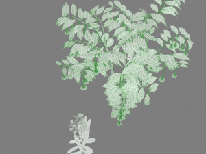 tree flower 3D Model