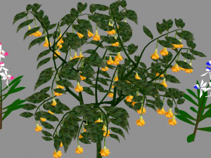 tree flower 3D Model