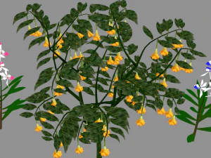 tree flower 3D Model