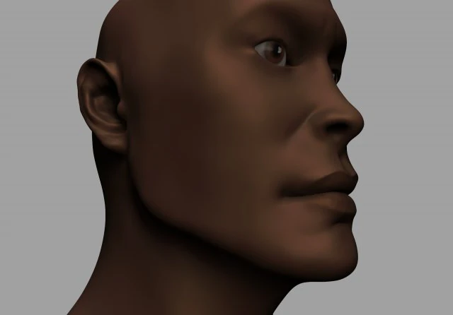 man face high and low poly 3D Model .c4d .max .obj .3ds .fbx .stl .blend