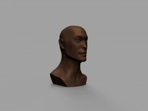 man face high and low poly 3D Model
