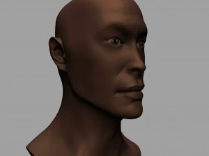 man face high and low poly 3D Model
