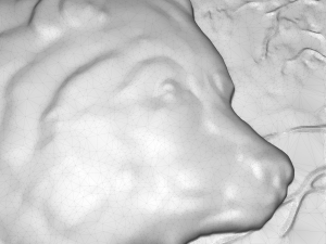 bear in the forest bas relief for cnc 3Dモデル