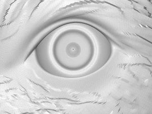 angry bear bas relief for cnc 3D Model