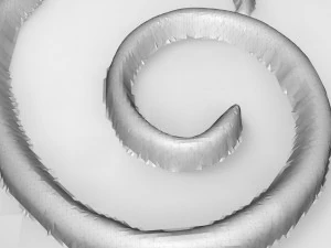 grapes bas relief for cnc 3D Model