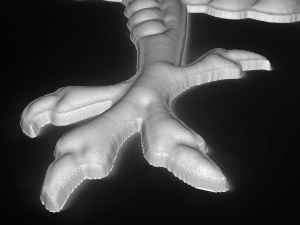 dragon with two paws bas relief for cnc Model 3D
