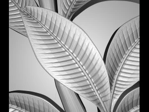 a plant with flowers in the frame bas relief for cnc 3D Model