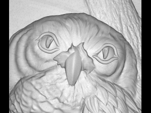 owl on the branch bas relief for cnc 3D 模型