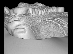 tiger near the rock bas relief for cnc 3D Model