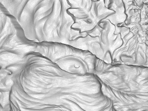successful hunting lion prey is antelope bas relief for cnc 3D Model