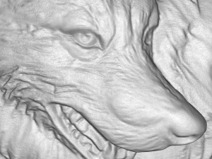 eagle and wolf bas relief 3D-Modell